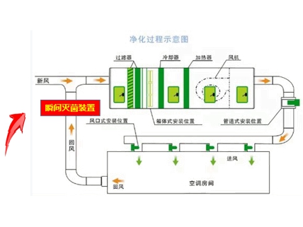 進化過程示意圖